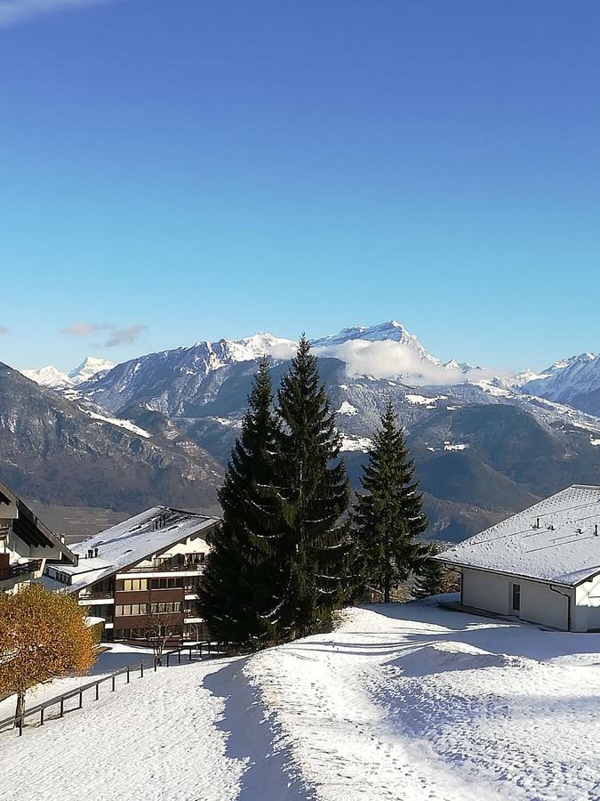 Romantic Chalet-style Flat With Mountain View Apartment *