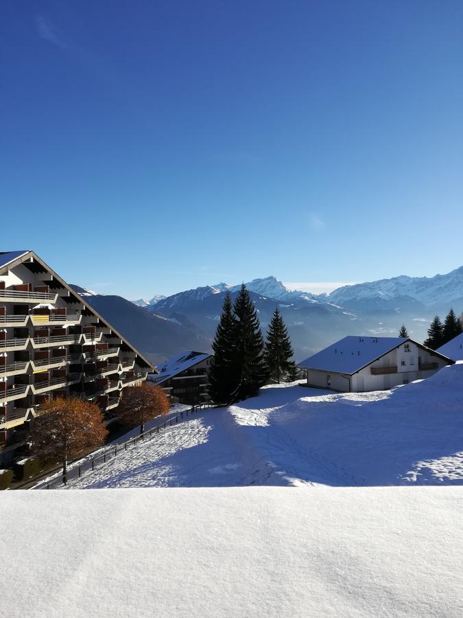 Romantic Chalet-style Flat With Mountain View Apartment *