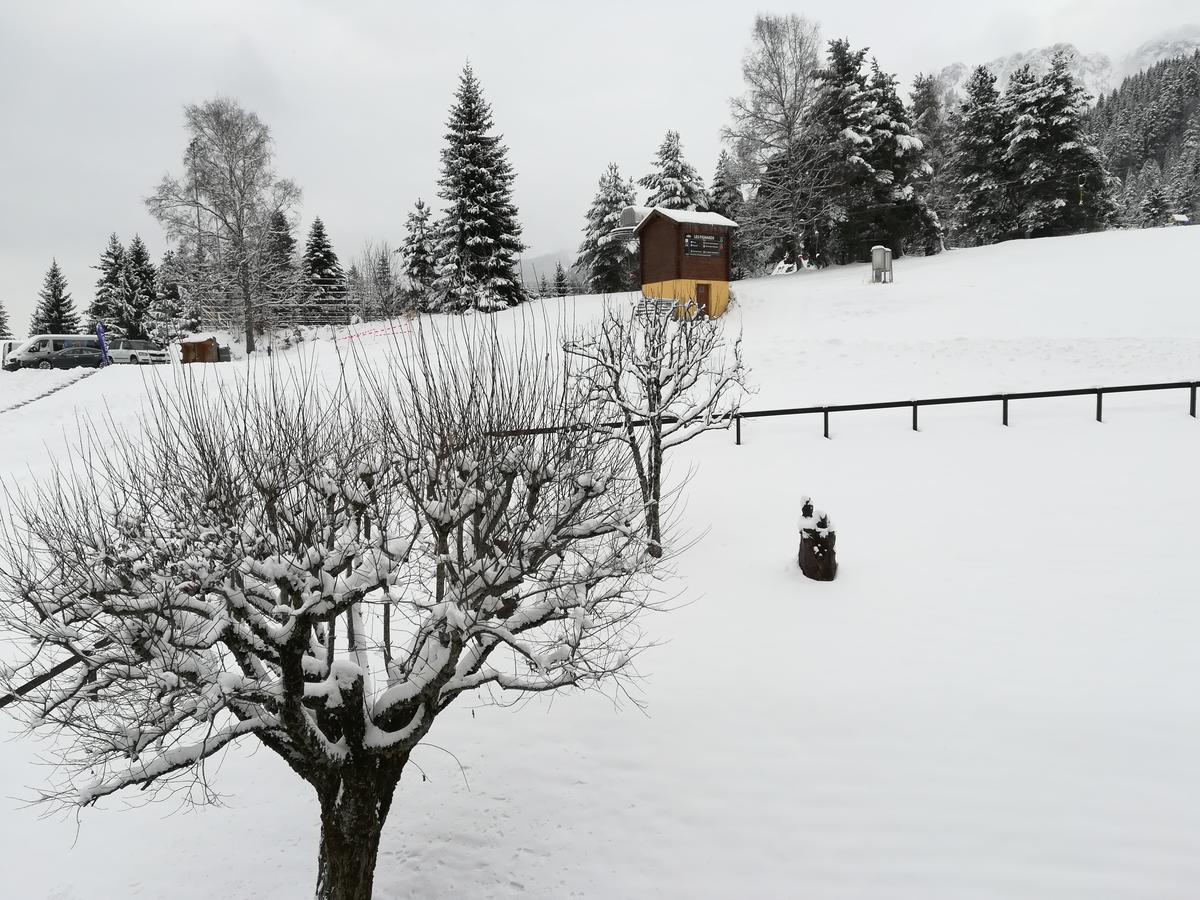 Romantic Chalet-style Flat With Mountain View Apartment *