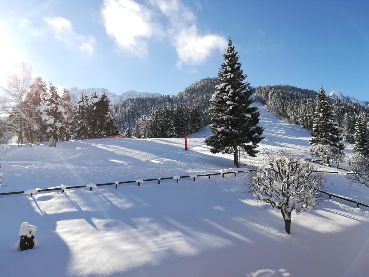 Romantic Chalet-style Flat With Mountain View Apartment Torgon