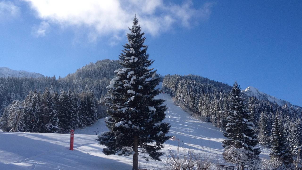 Romantic Chalet-style Flat With Mountain View * Torgon